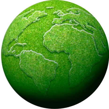 No se encontro la imagen.